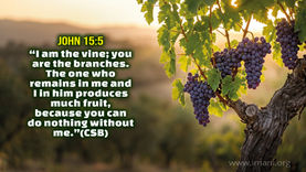 01540 - Abiding In Christ
