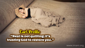 A Curl Up In Bed Day