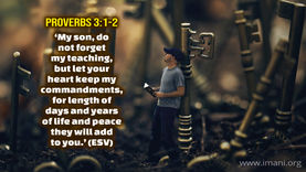 Seven Keys To A Long Life