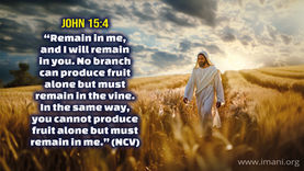 00783 - More Of Jesus