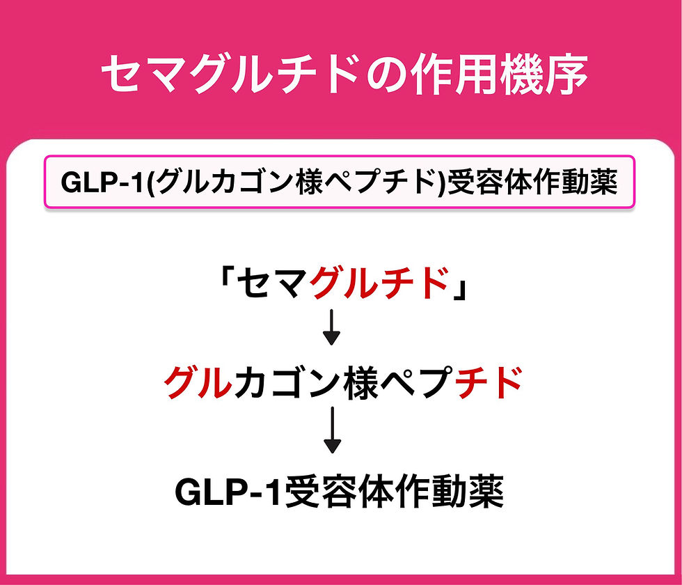 セマグルチド　覚え方