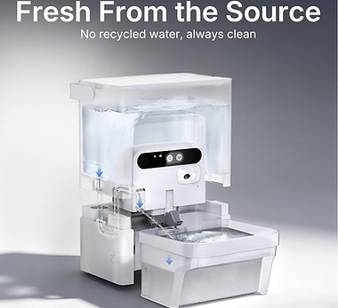 Petkit Luxury Fountain.jpg