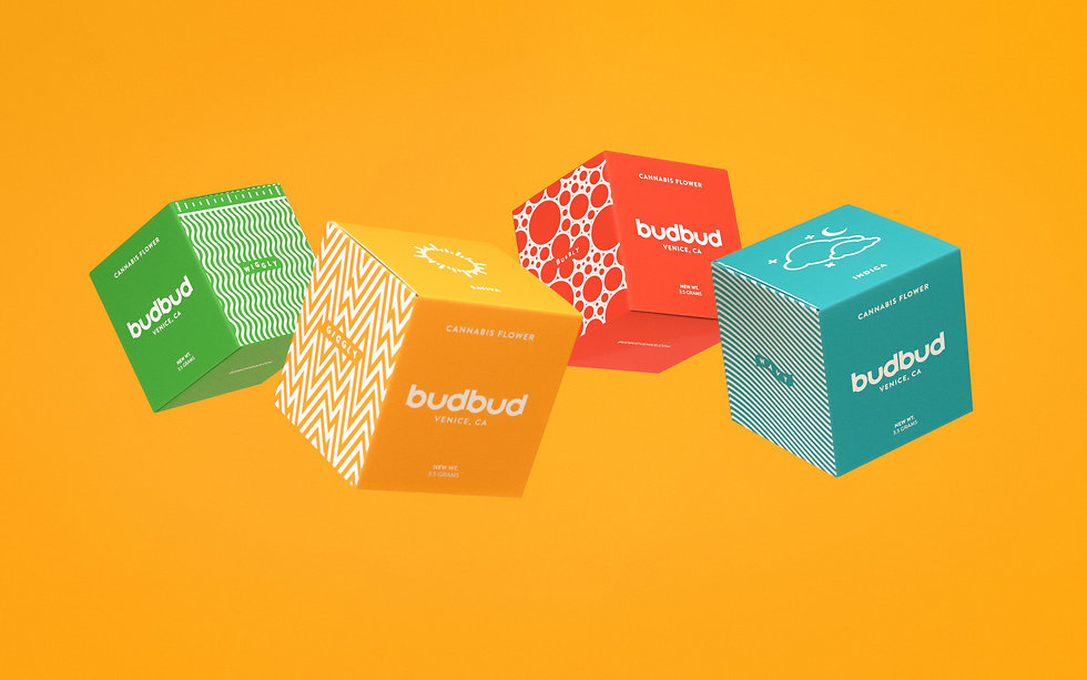 BudBud_Package_Header2_NoBlur.jpeg