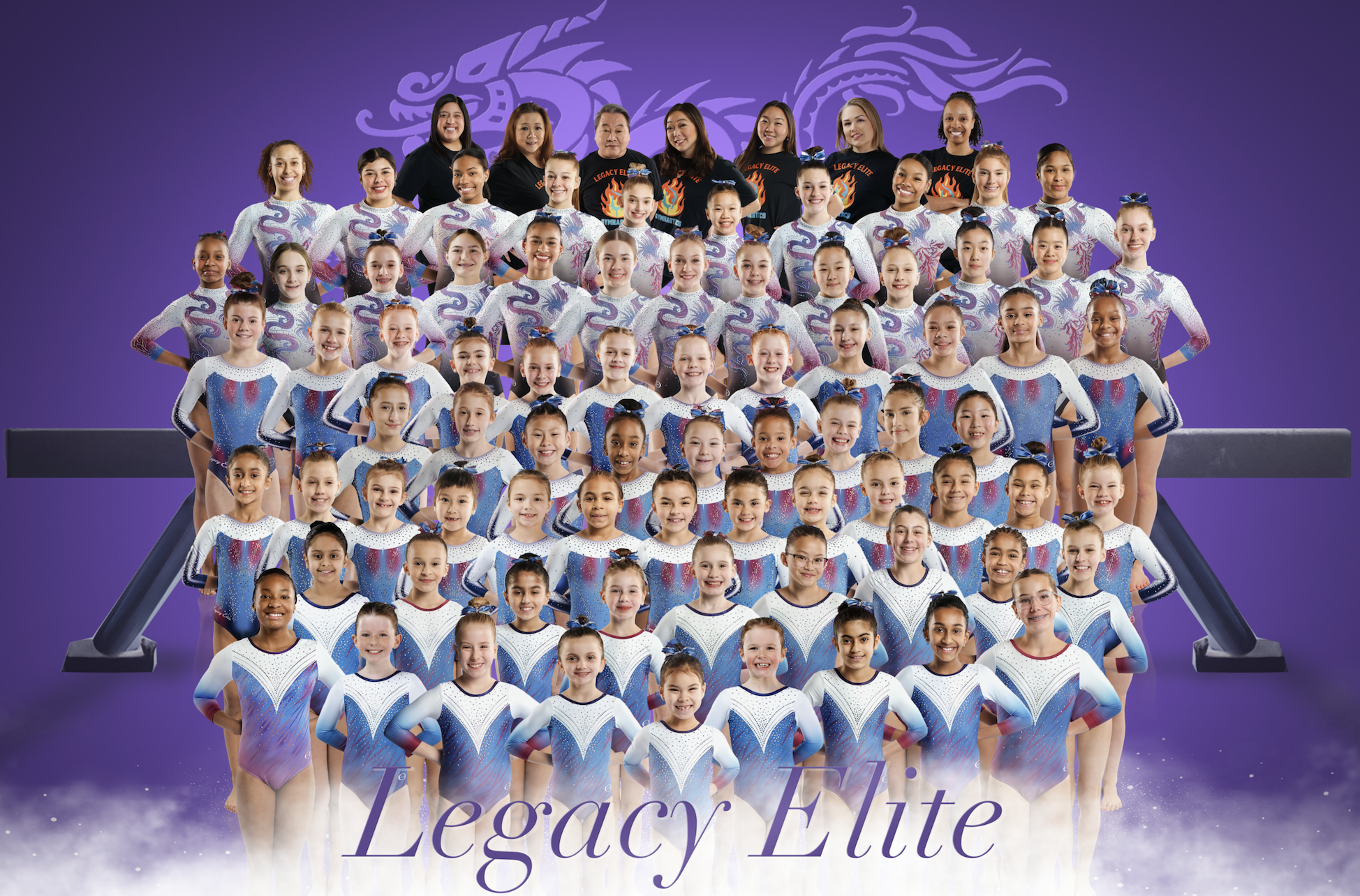Legacy Elite Gymnastics