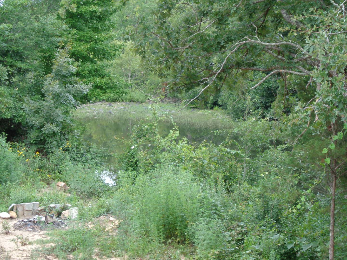 1865e Big Cedar Cabin Talihina Realty 802 Dallas St Serving