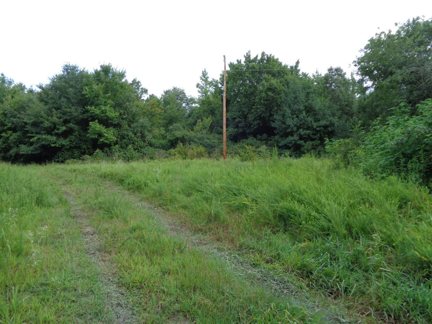 1865e Big Cedar Cabin Talihina Realty 802 Dallas St Serving