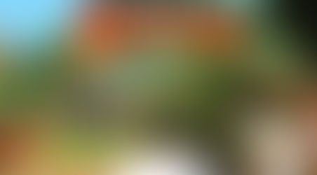 7 Pontos turísticos em Santa Catarina Que você precisa conhecer antes de morrer!