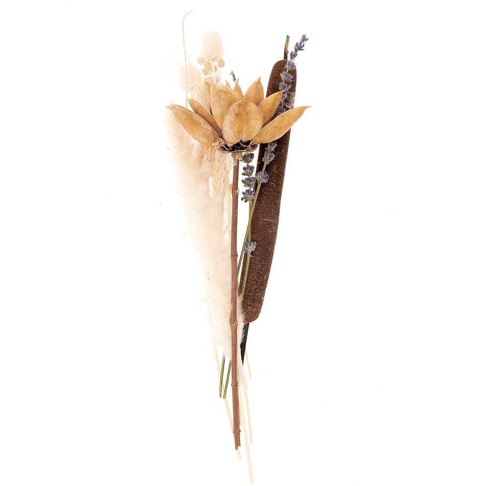 Miniaturbild: Trockenblumen Set natur orange
