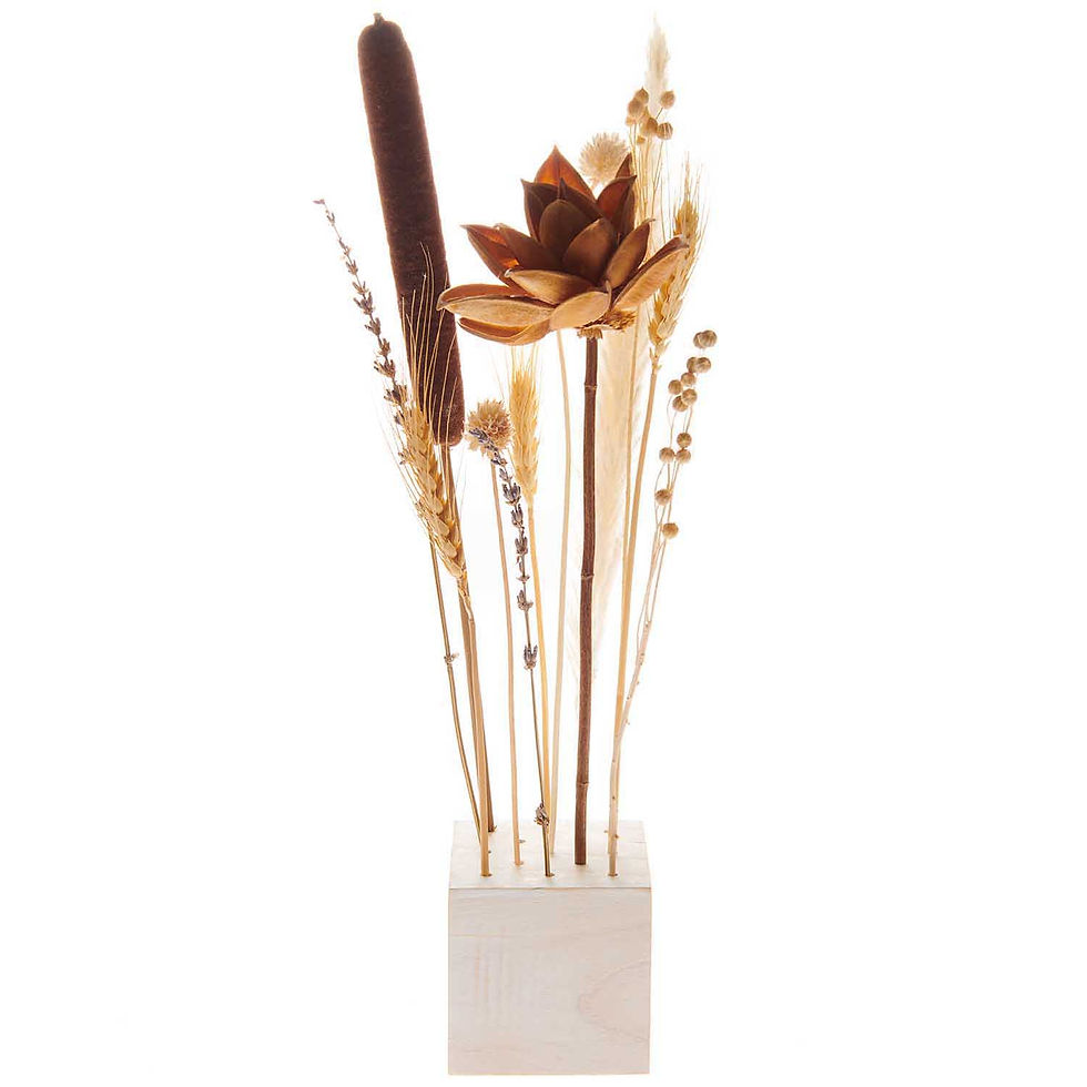 Miniaturbild: Trockenblumen Set natur orange