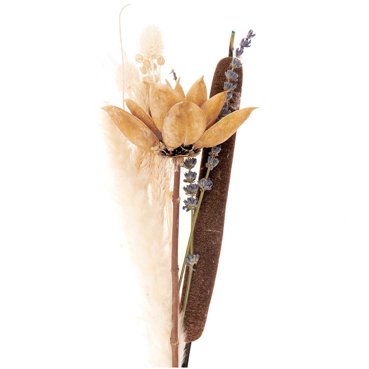 Trockenblumen Set natur orange