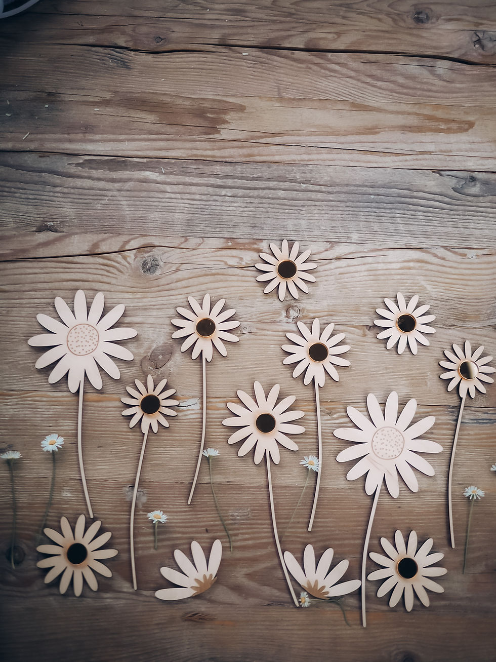 Miniaturbild: Cake Topper Daisys