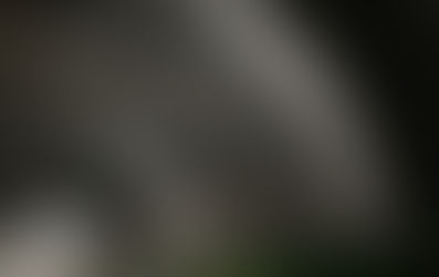 tveir(トゥヴェイル) Look Book