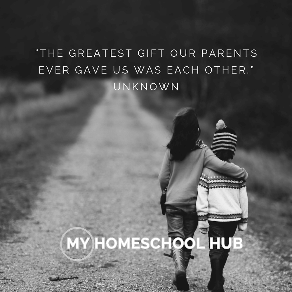 help-for-homeschool-siblings-relationships
