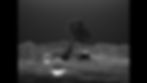 test (0-00-01-07).jpg