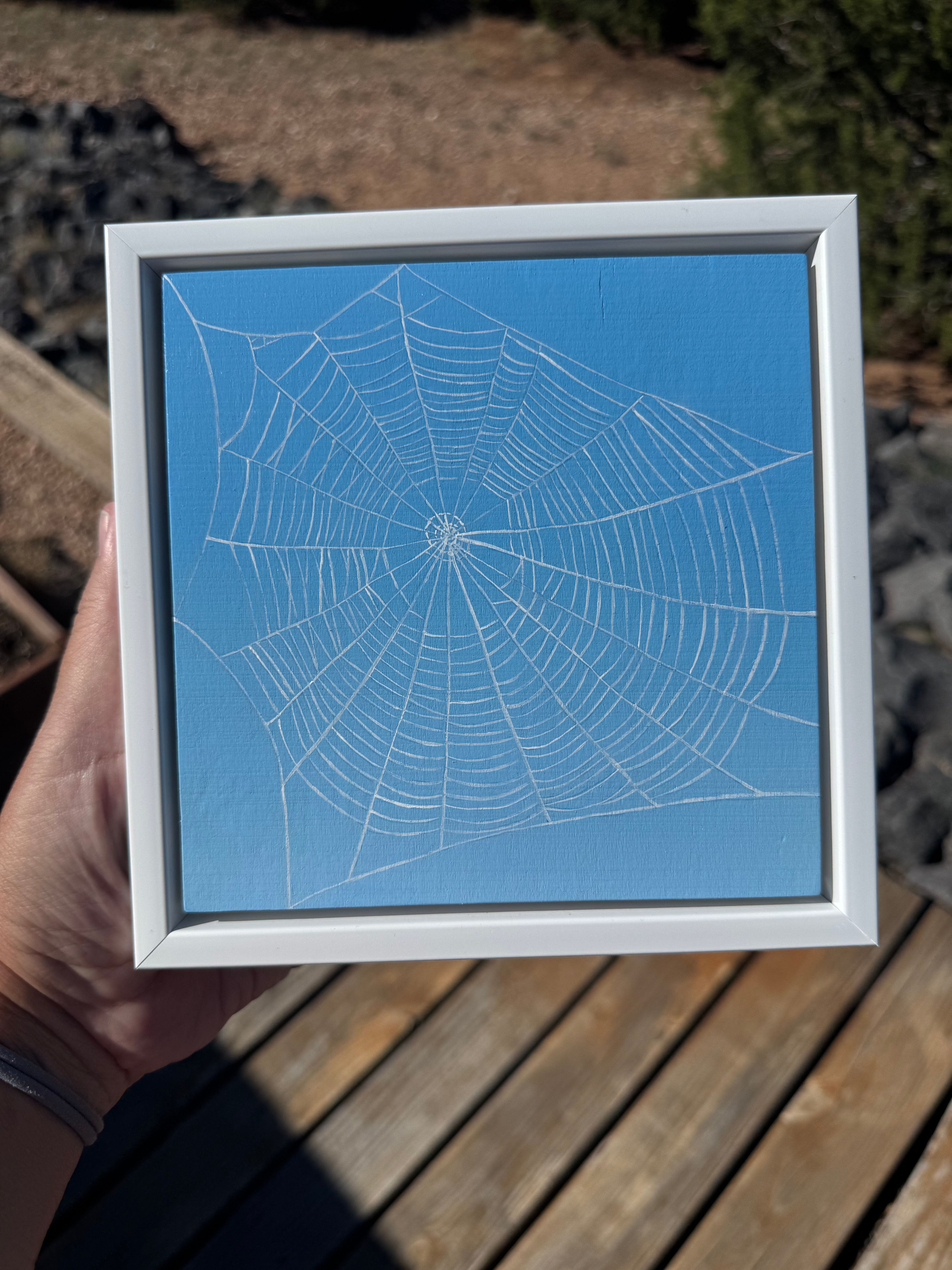 Spiderweb 1