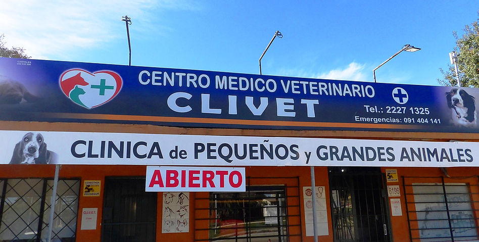 el frente de la veterinaria y tienda de mascotas