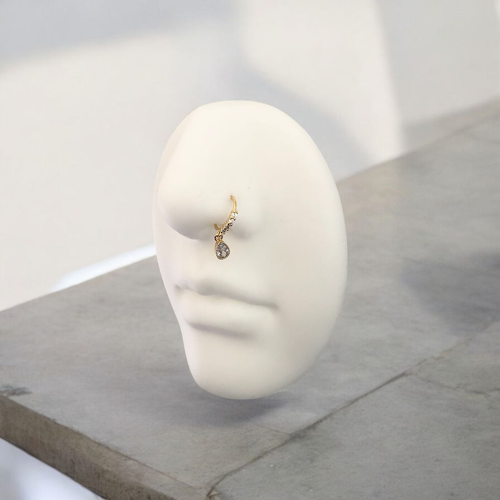 Charm nose ring