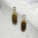Cicadas earrings