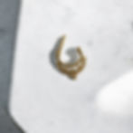 Miniatura: Septum ring