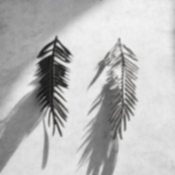 Leaf earrings