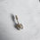 Miniaturbild: Scorpion belly bar