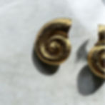 Shell earrings