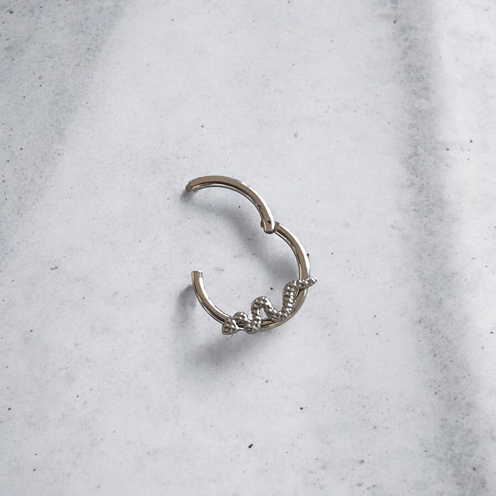 Miniaturbild: Snake nose ring and septum clicker