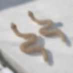 statement snake earrings