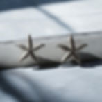 Starfish earrings