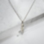 Rose necklace