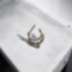 Miniaturbild: Septum ring