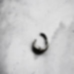 Moon septum ring silver