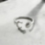 Sun and moon ring