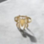 Spider ring