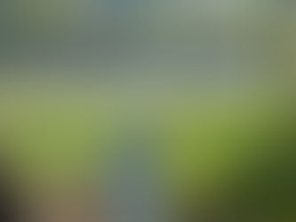 Value this to THRIVE