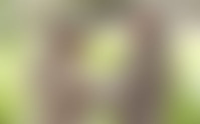 Nothing is Impossible ... with God! 12.17.23