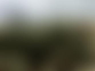 You've never seen Jesus like this.