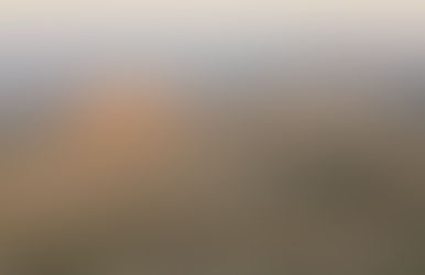 The Strength We Need Now.