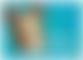 You've got a Chest Protector