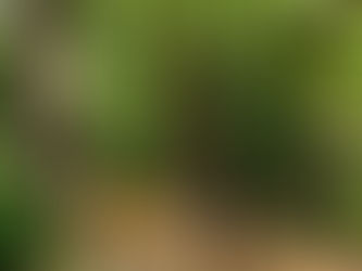 Thinking higher and better.