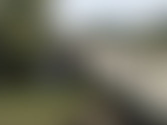 Fourth of July, 2022.