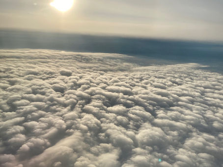 Feed your soul … THRIVE, #4