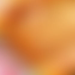 The Whole Enchilada!