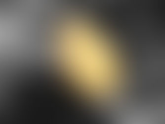 What it takes to be a winner.