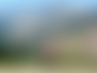 Because You Want Peace Every Day