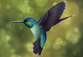 God speaks: Thanksgiving, 2020.