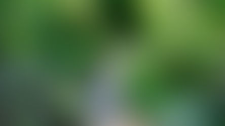 Which way should I go? right path...hmmm