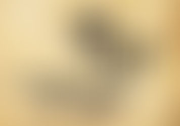 DO YOU HAVE QUESTIONS FOR JESUS? John #70