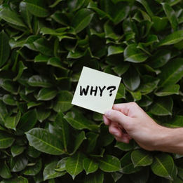 Following Through... Just In Time For Spring