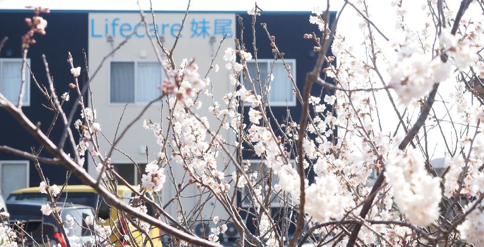 Lifecare妹尾